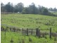 896 Wyrallah Road, Wyrallah NSW 2480
