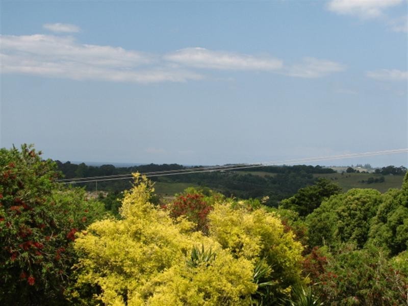 1037 Tamarind Drive, Tintenbar NSW 2478