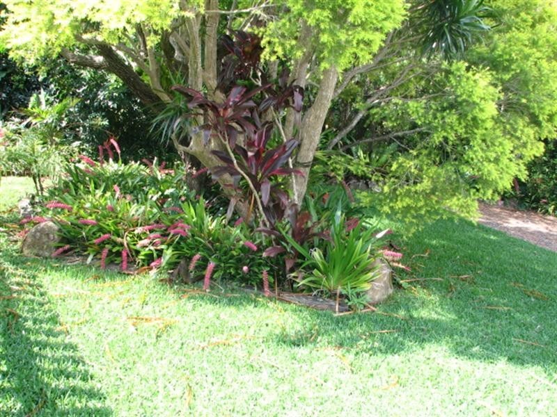 1037 Tamarind Drive, Tintenbar NSW 2478