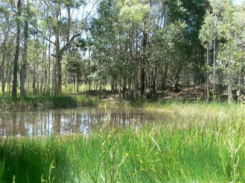 38 Mothersoles Road, Ellangowan NSW 2470