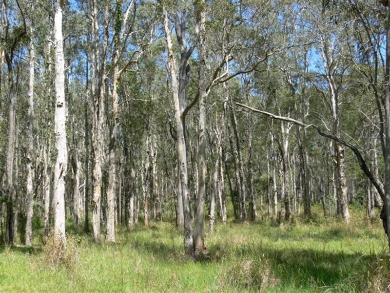 38 Mothersoles Road, Ellangowan NSW 2470