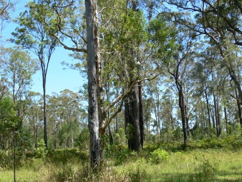 38 Mothersoles Road, Ellangowan NSW 2470