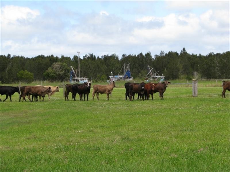 718 North Bank Road, Palmers Island NSW 2463