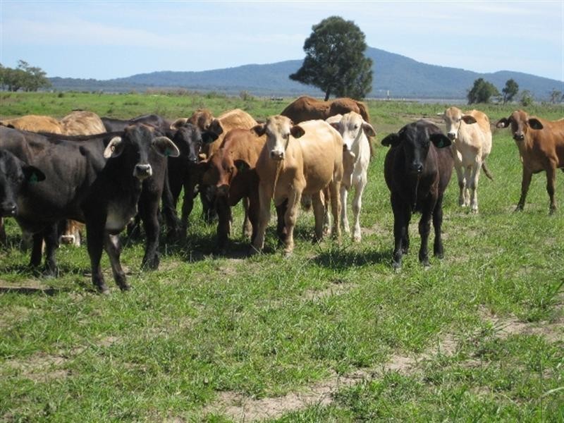 718 North Bank Road, Palmers Island NSW 2463