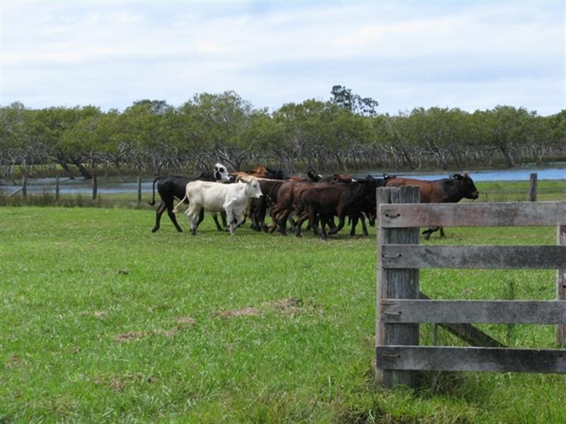 718 North Bank Road, Palmers Island NSW 2463