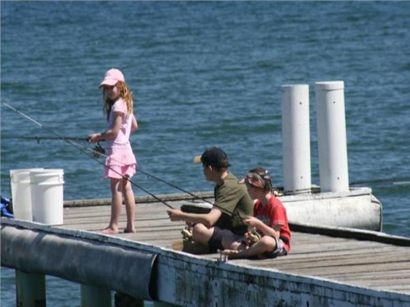 88 Kingfisher Circuit, Cams Wharf NSW 2281