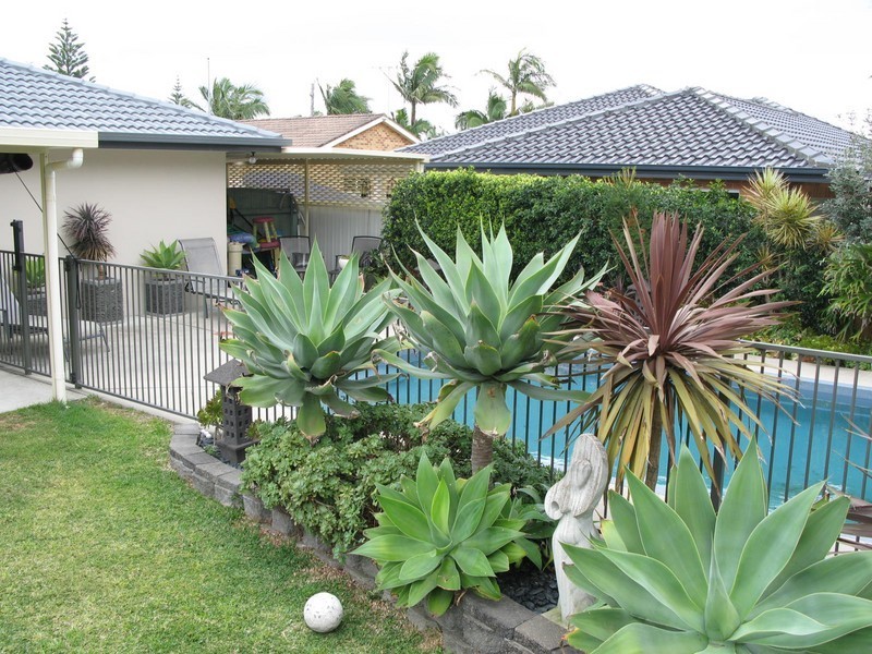 12 Theano Close, Pelican NSW 2281