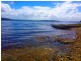 Murrays Beach NSW 2281