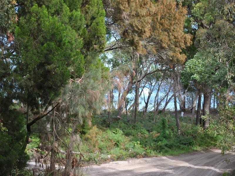 1 Midgen Street, Kooringal QLD 4025