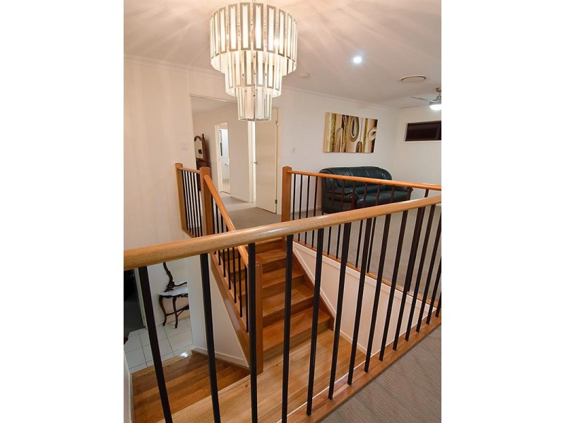 19 Bulli Street, Hendra QLD 4011