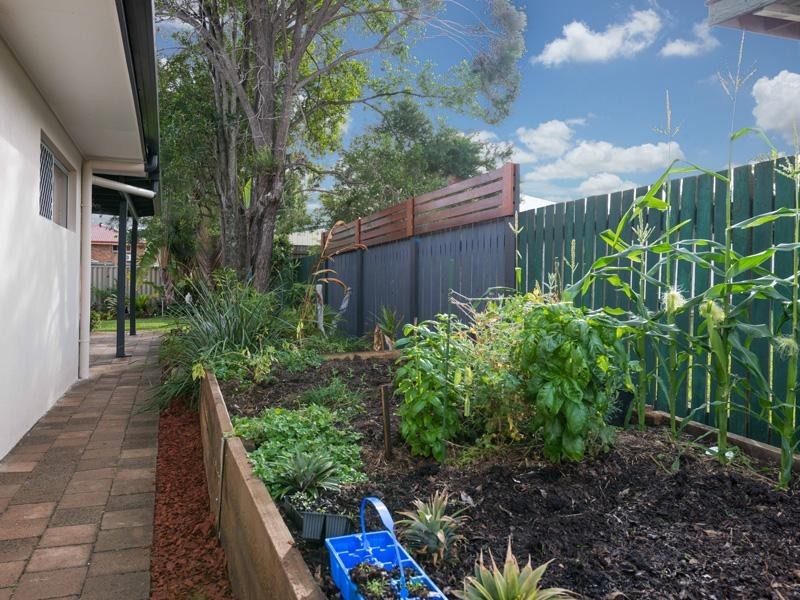 5 Comino Street, Aspley QLD 4034