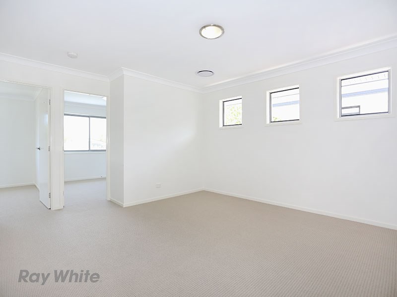 75 Clarke Street, Hendra QLD 4011