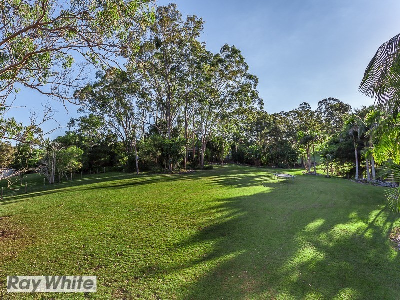 3 Greer Court, Bunya QLD 4055