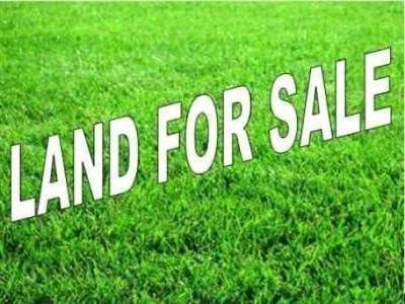 Lot 1 of 66 Raceview Avenue, Hendra QLD 4011