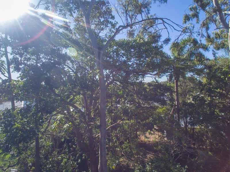 6 Neal Street, Brighton QLD 4017