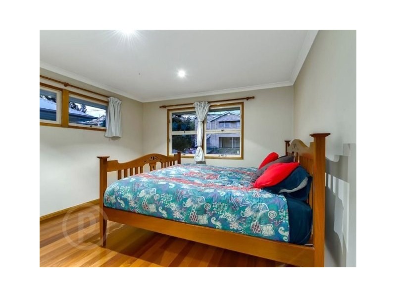 15 Pitt Street, Annerley QLD 4103