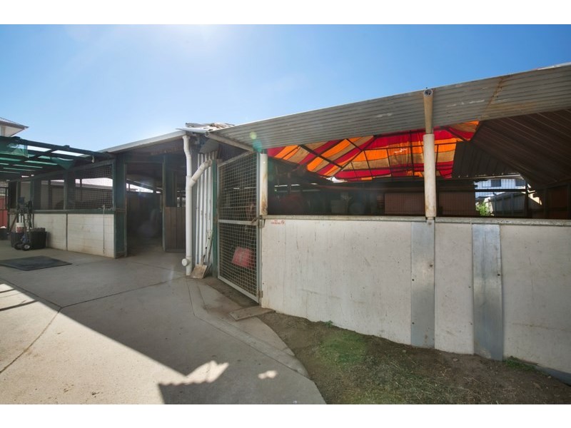 27 Clarke Street, Hendra QLD 4011