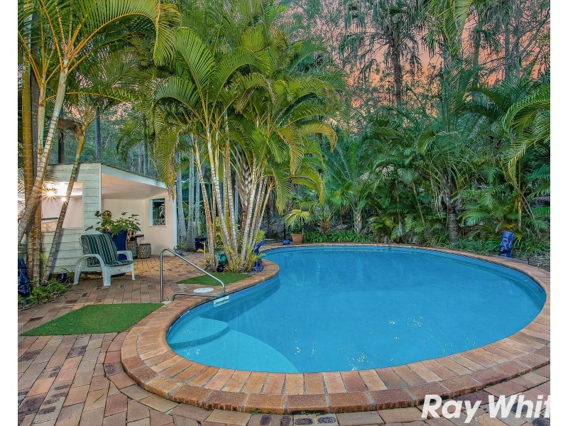 21 Pinecone Court, Bunya QLD 4055