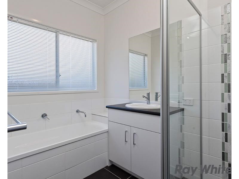 16 Ainslie Street, Alderley QLD 4051