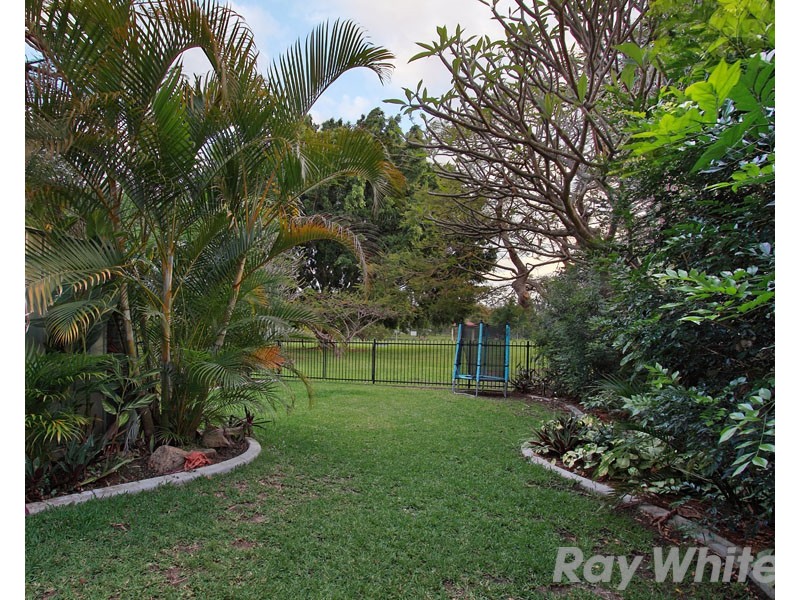 16 Archer Street, Gordon Park QLD 4031