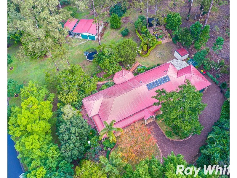 2 Frigo Court, Bunya QLD 4055