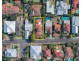34 Creswick Street, Clayfield QLD 4011