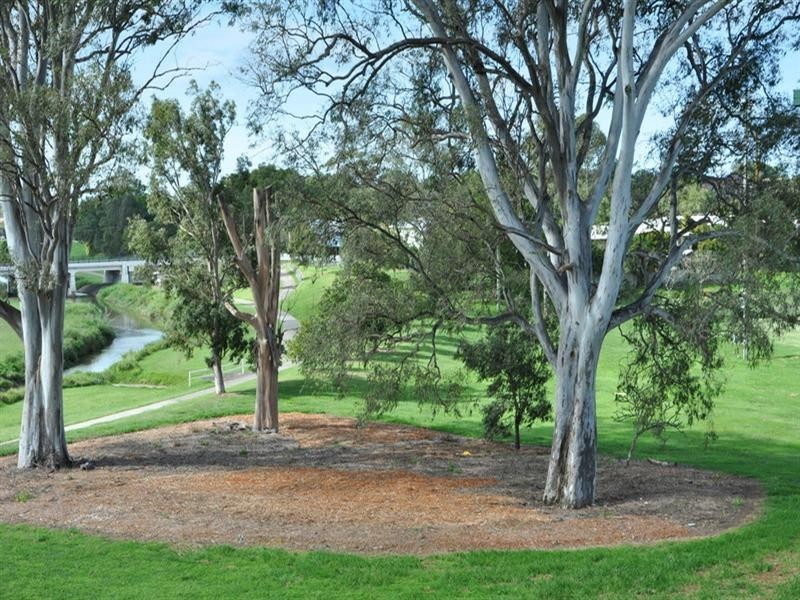 5/61 Swinburne Street, Lutwyche QLD 4030