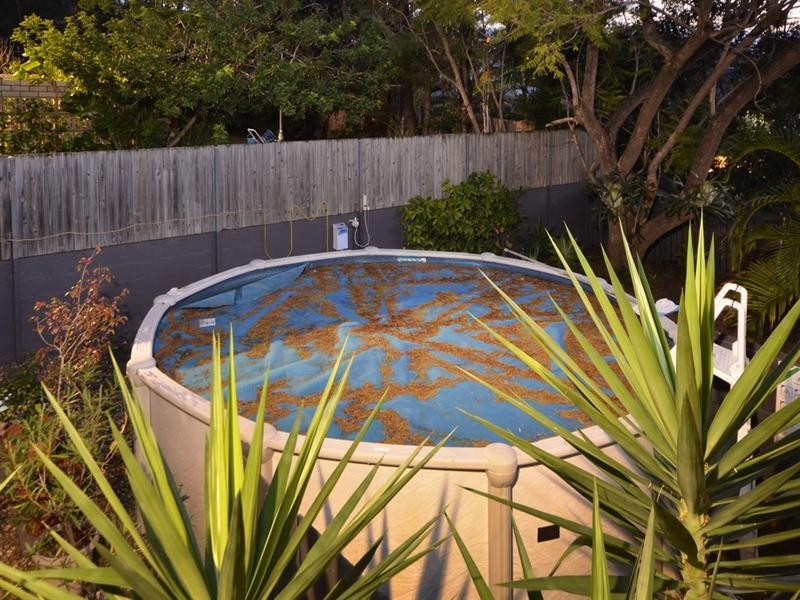 30 Chaplin Street, Stafford Heights QLD 4053