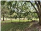 31 Gamelin Crescent, Stafford QLD 4053