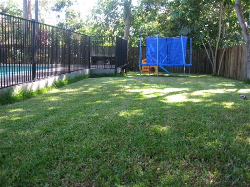 104 Murton Avenue, Holland Park QLD 4121