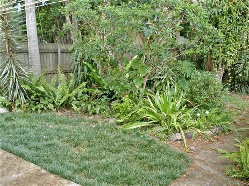 20 Connolly Street, Kedron QLD 4031