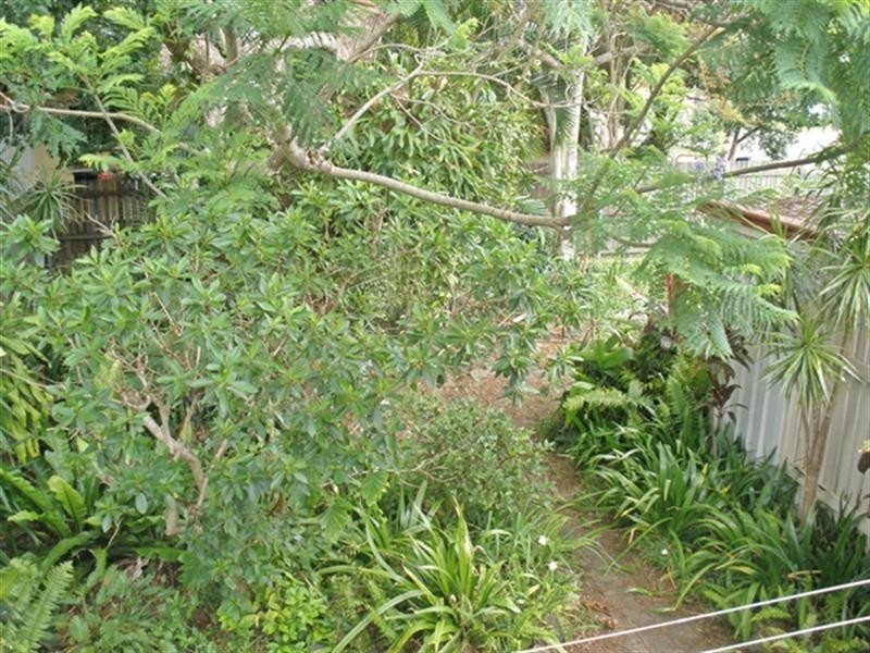 20 Connolly Street, Kedron QLD 4031