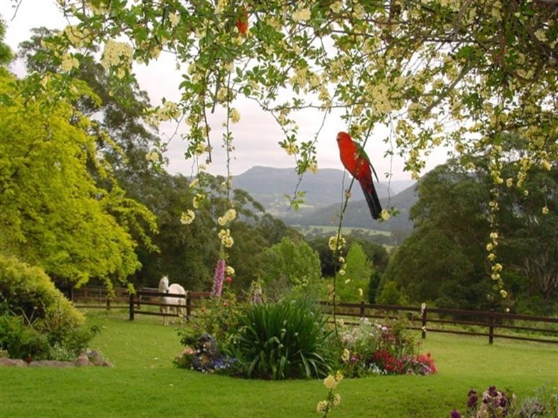 50c Keoghs Road, Kangaroo Valley NSW 2577