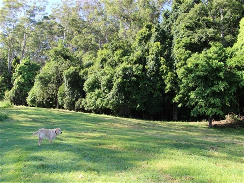 50c Keoghs Road, Kangaroo Valley NSW 2577