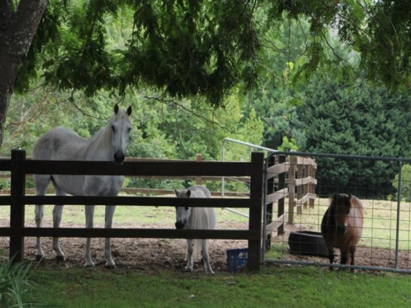 50c Keoghs Road, Kangaroo Valley NSW 2577