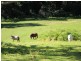 50c Keoghs Road, Kangaroo Valley NSW 2577