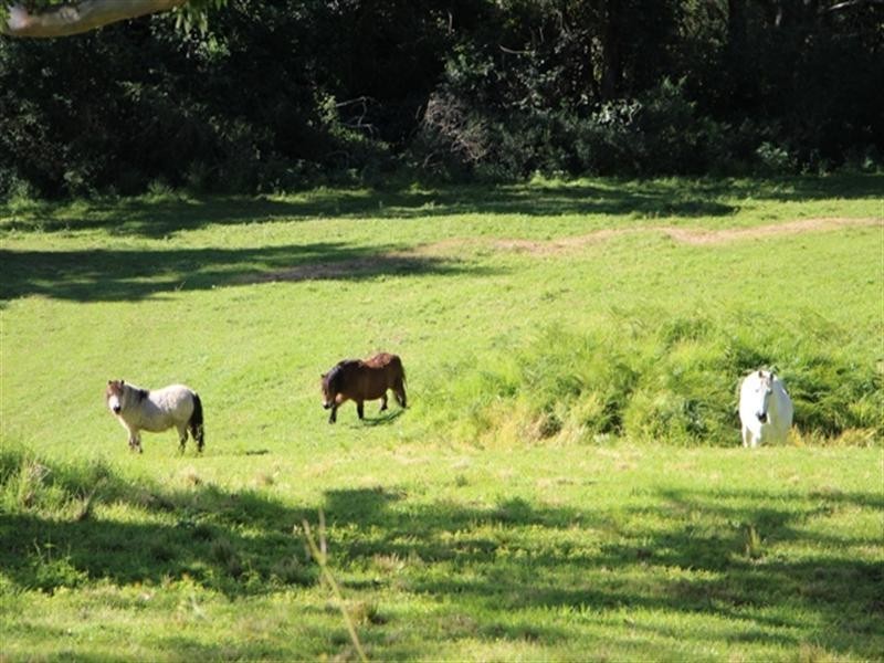 50c Keoghs Road, Kangaroo Valley NSW 2577