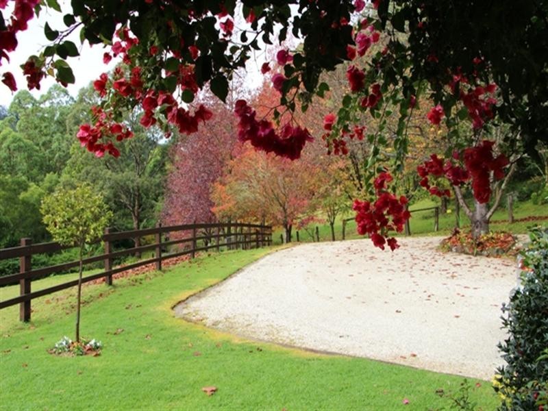 50c Keoghs Road, Kangaroo Valley NSW 2577