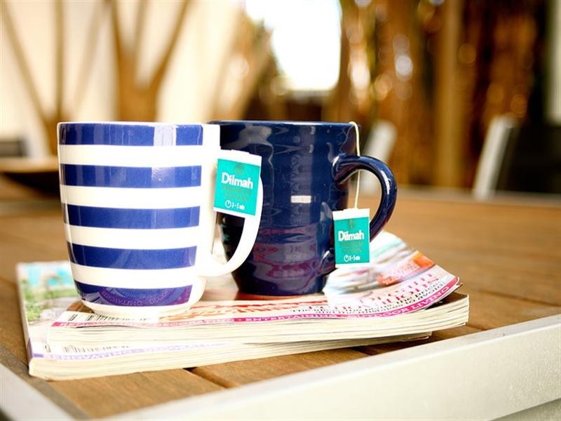 8 Osborne Street, Gerringong NSW 2534