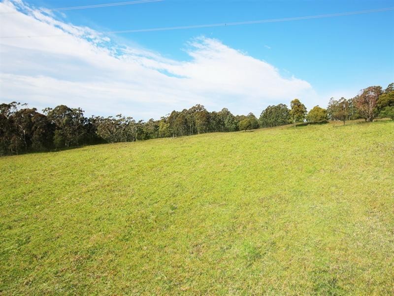 Lot 2, 4015A Braidwood Road, Sassafras NSW 2622