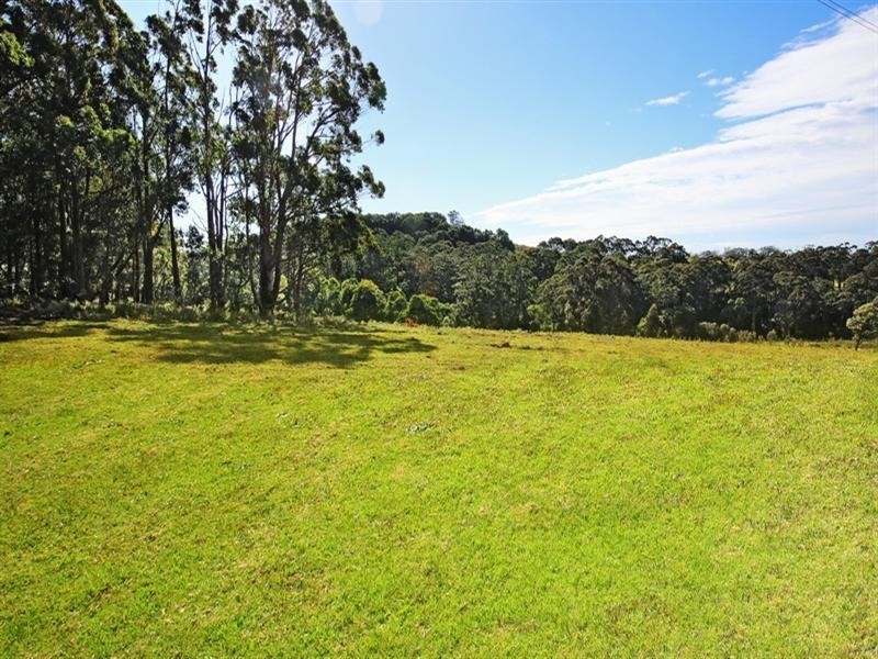 Lot 2, 4015A Braidwood Road, Sassafras NSW 2622