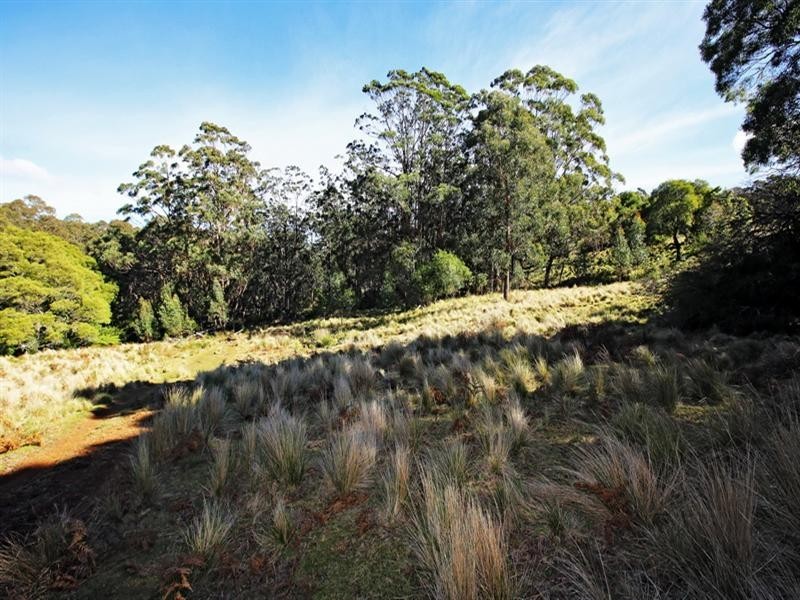 Lot 2, 4015A Braidwood Road, Sassafras NSW 2622