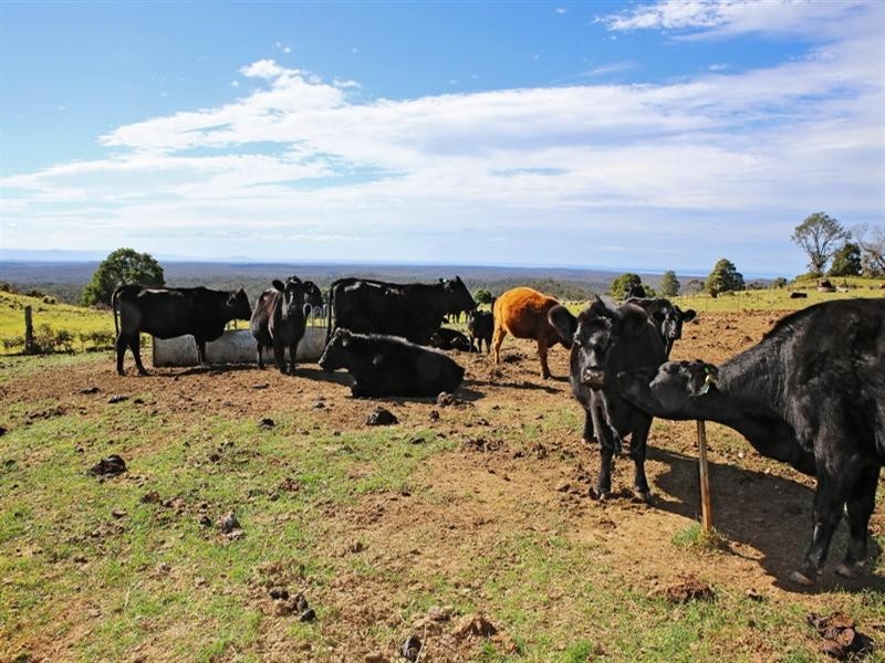 Lot 2, 4015A Braidwood Road, Sassafras NSW 2622