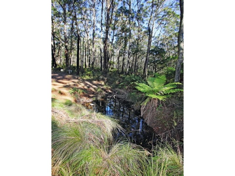 Lot 2, 4015A Braidwood Road, Sassafras NSW 2622