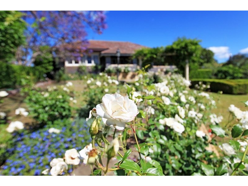 109 Shoalhaven Street, Nowra NSW 2541