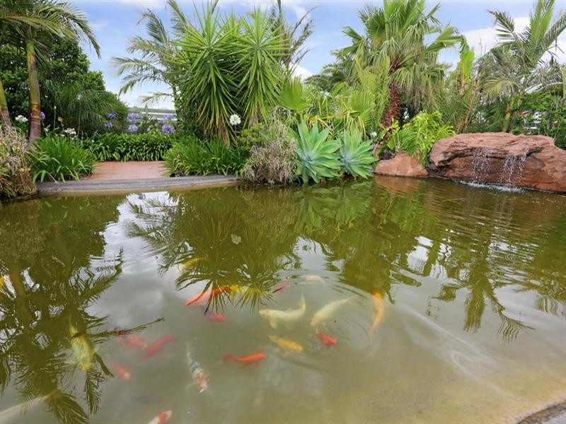 62 Bennett Place, Worrigee NSW 2540