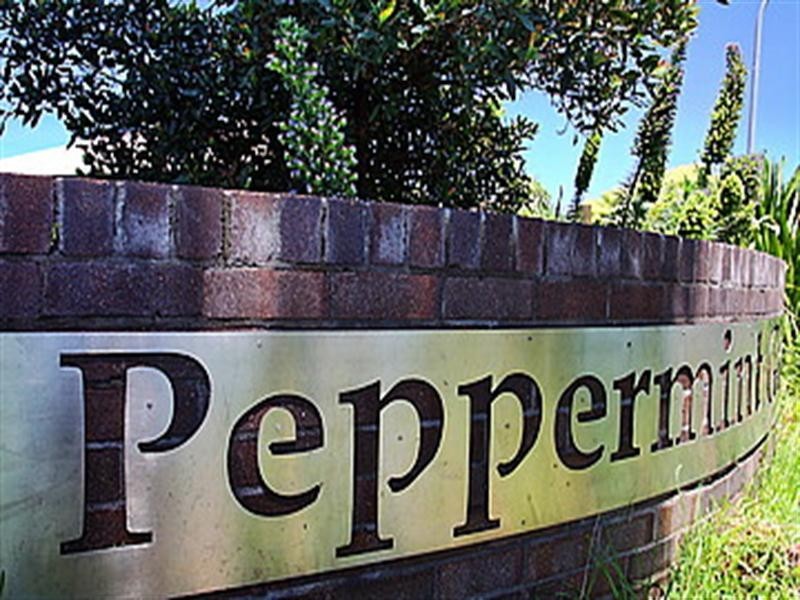 Lot 623 Sugarwood Road, Worrigee NSW 2540