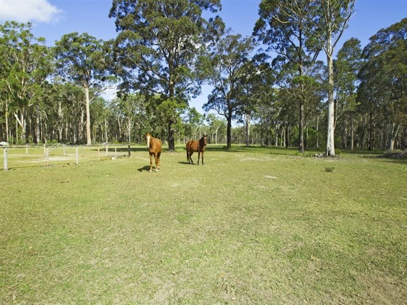 255 Springbank Road, Brundee NSW 2540