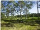 255 Springbank Road, Brundee NSW 2540