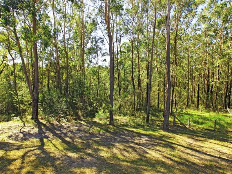 16 McArthur Drive, Falls Creek NSW 2540